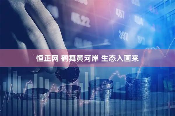 恒正网 鹤舞黄河岸 生态入画来